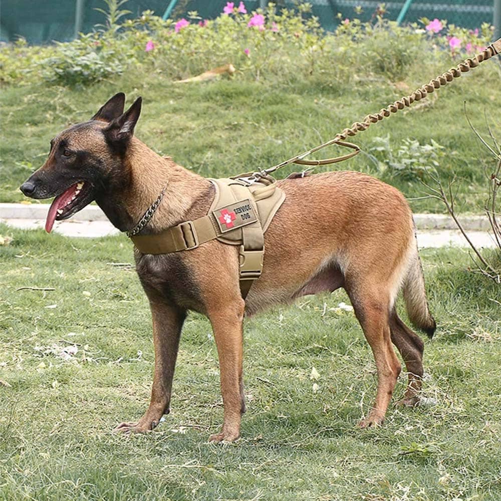 K9 military outlet harness