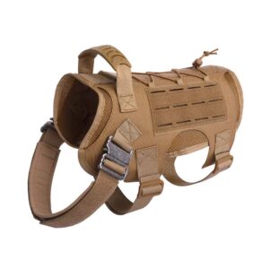 Wiener dog tactical vest｜TikTok Search