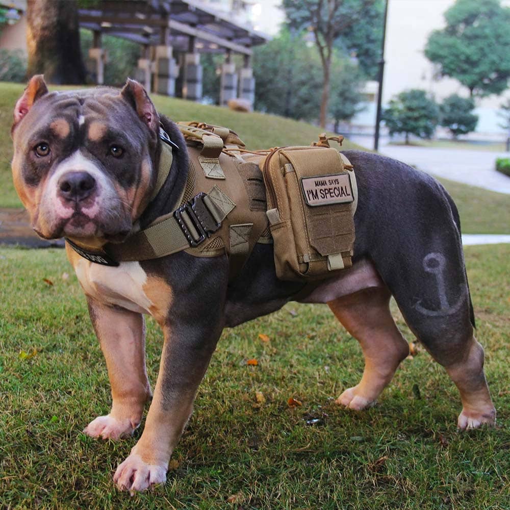 dog wear tactical harness