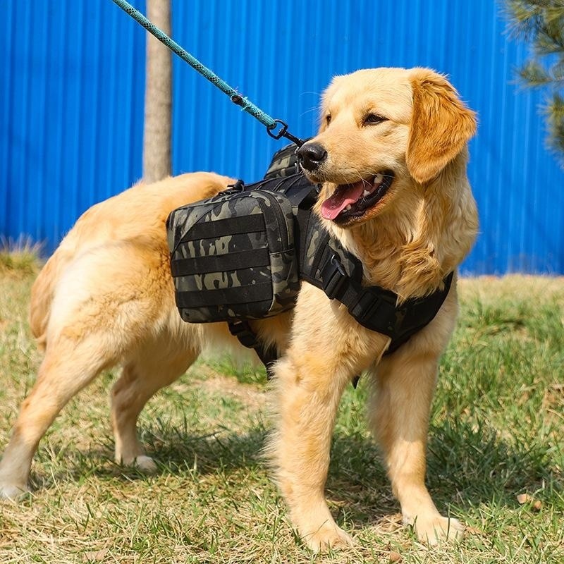 tactical dog harnesses for effective training
