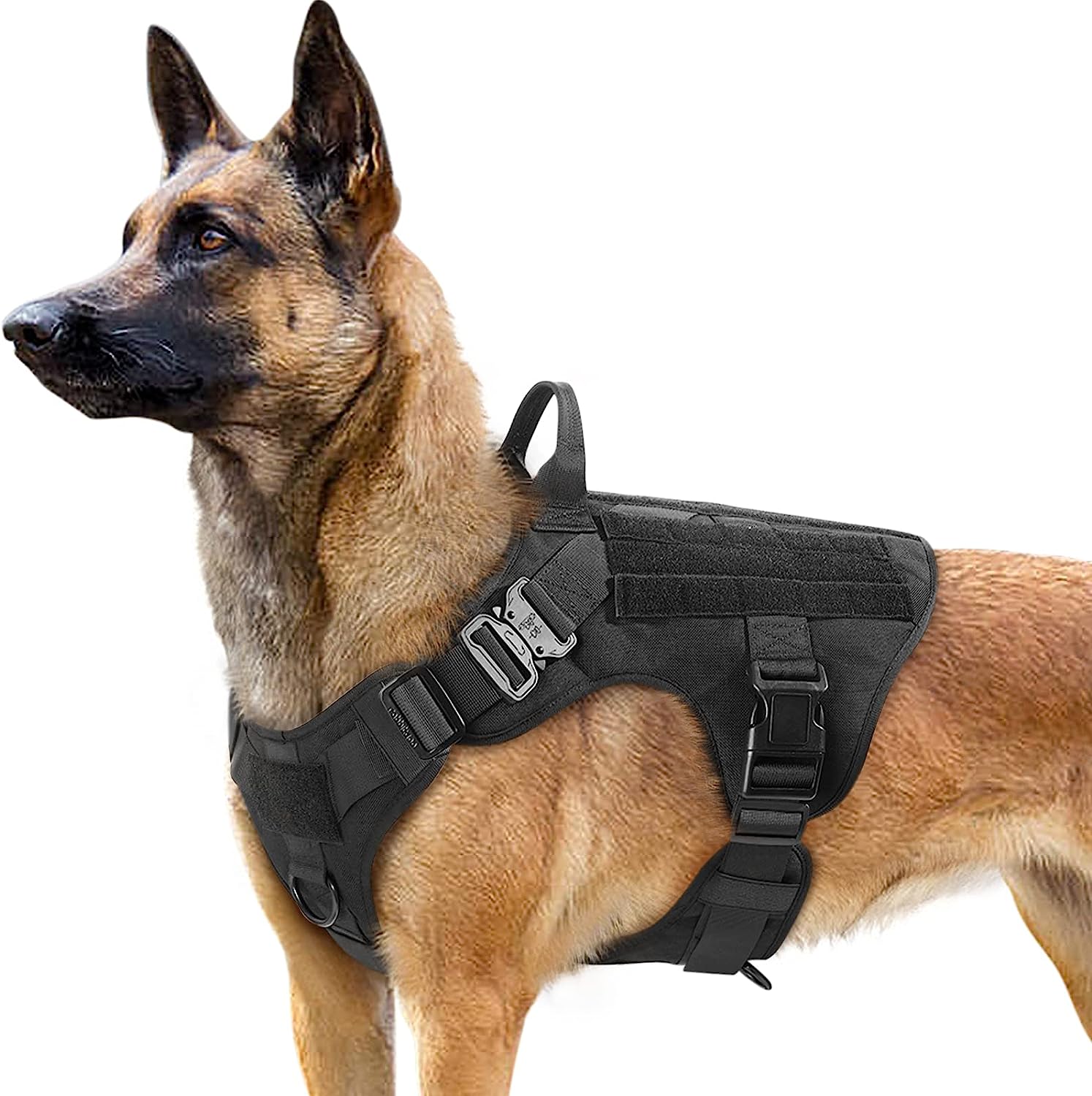 a police dog wear a tactical harness for dogs