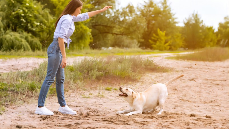 a women giving command signal to her dog(1)
