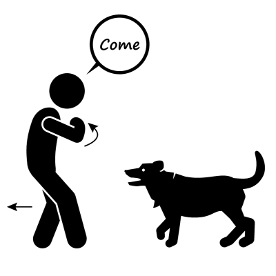 come command for dog with hand signal