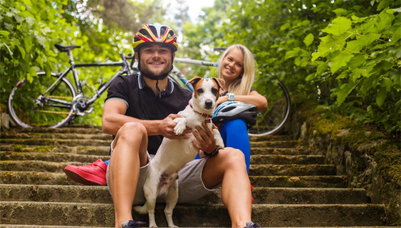couple of cyclists with their dog relax on steps- dog bikejoring