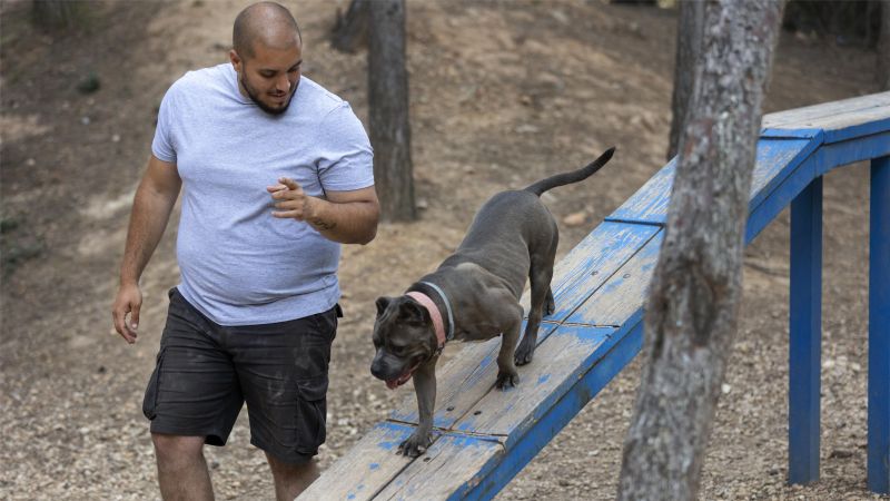 dog trainer outdoors with dog during session