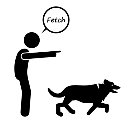 fetch command for dog with hand signal