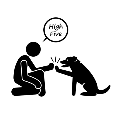 high five command for dog with hand signal