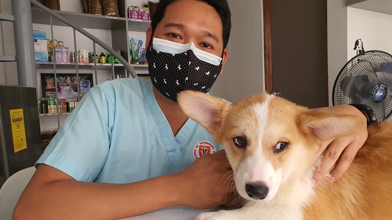 a veterinarian and a dog