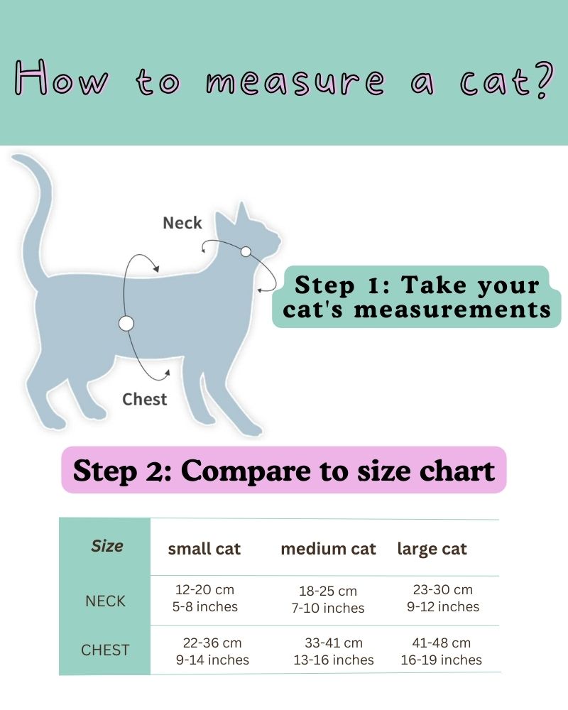 to measure a cat : r/therewasanattempt