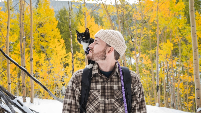 Taking your feline friend outdoors