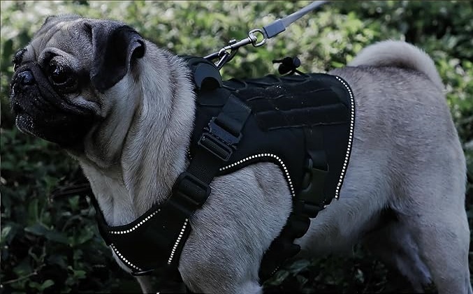 dog tactical harness